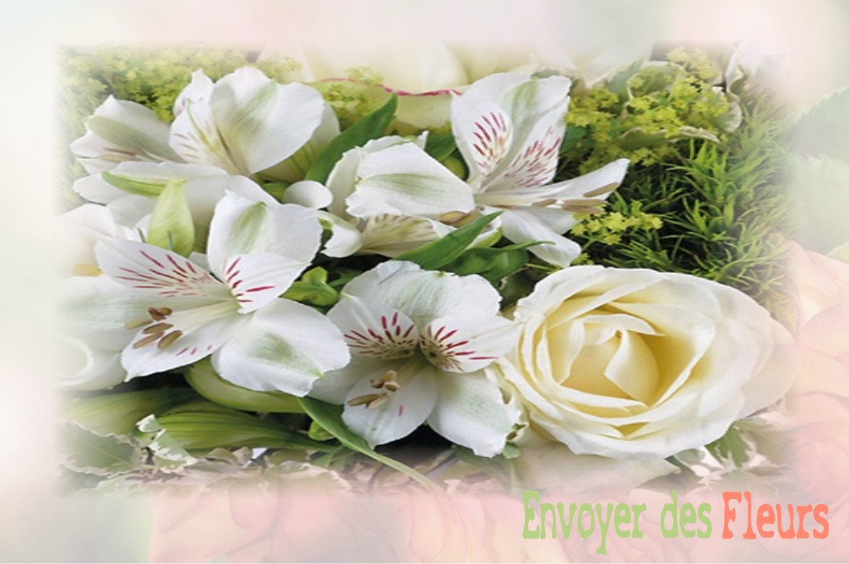 envoyer des fleurs à à VILLIERS-SUR-THOLON